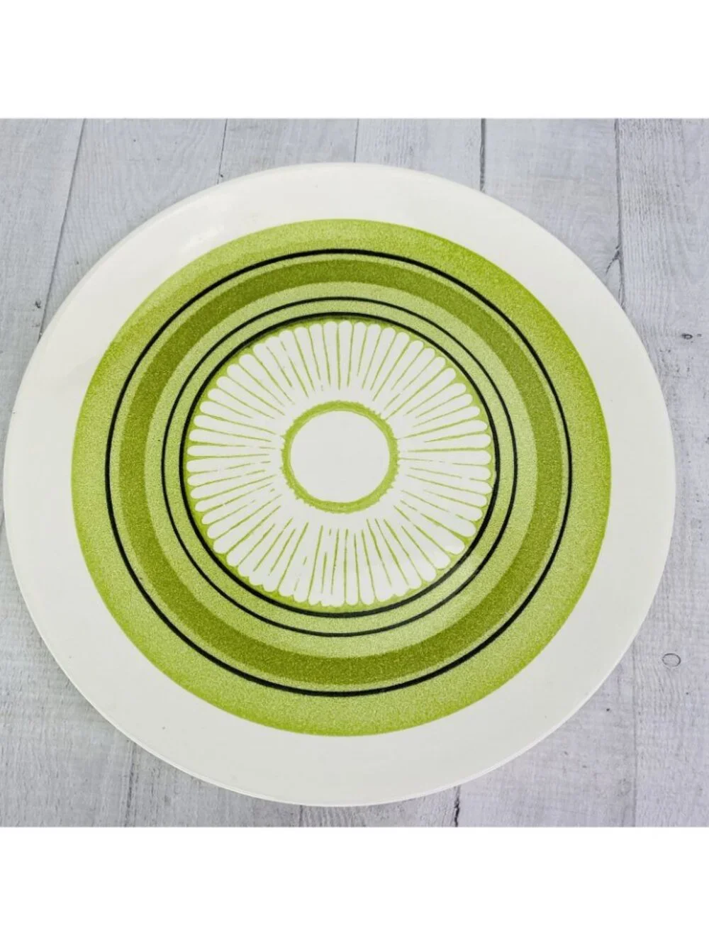 70's Taylor Smith Taylor TS&T Ironstone GREEN SPAN Floral Bands Serving Platter